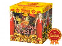 Красивая жизнь Фейерверк купить в Артёмовске | artyomovsk.salutsklad.ru