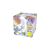 Новогодняя ночь Салют купить в Артёмовске | artyomovsk.salutsklad.ru