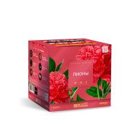 Пионы Салют купить в Артёмовске | artyomovsk.salutsklad.ru