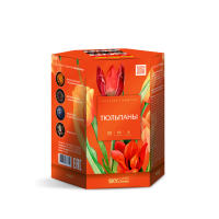 Тюльпаны Салют купить в Артёмовске | artyomovsk.salutsklad.ru