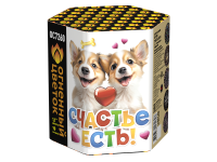 Счастье есть! Салют купить в Артёмовске | artyomovsk.salutsklad.ru