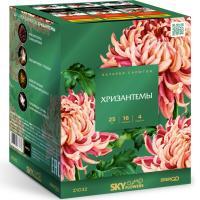 Хризантемы Фейерверк купить в Артёмовске | artyomovsk.salutsklad.ru