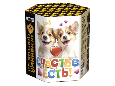 Счастье есть! Салют купить в Артёмовске | artyomovsk.salutsklad.ru