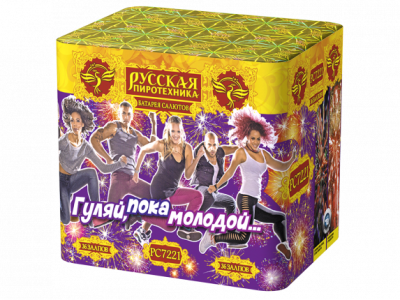 Гуляй, пока молодой Салют купить в Артёмовске | artyomovsk.salutsklad.ru